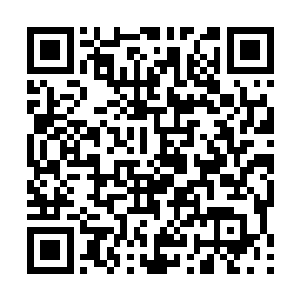 #冷#轩#只#能#期#待#黑#斯#和#崔#斯#特#之#间#的#战#斗#了#二维码生成