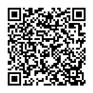 #冷#轩#忽#然#便#联#想#起#了#逆#天#诀#总#岗#中#的#那#么#一#句#话#二维码生成