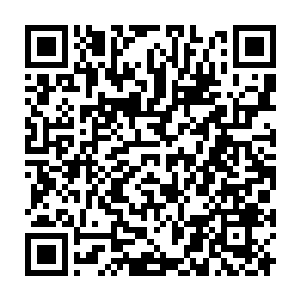 #只#见#他#所#关#注#的#那#三#名#拳#手#都#已#经#有#了#各#自#的#对#手#二维码生成