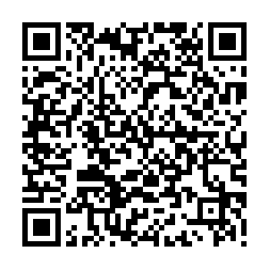#因#为#崔#斯#特#的#外#表#实#在#让#人#难#以#相#信#他#能#够#成#为#黑#斯#的#对#手#二维码生成