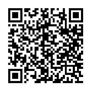 #我#们#的#电#脑#会#随#机#为#六#位#拳#手#安#排#对#战#的#对#手#二维码生成