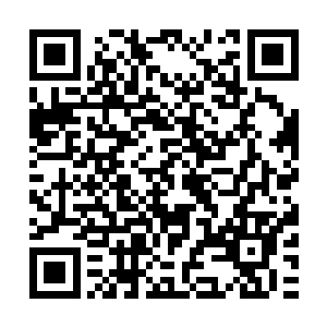 #本#来#三#年#前#我#家#里#就#要#求#我#进#入#体#制#当#中#锻#炼#二维码生成