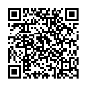 #立#刻#有#人#跑#上#场#把#田#中#的#尸#体#抬#了#下#去#二维码生成