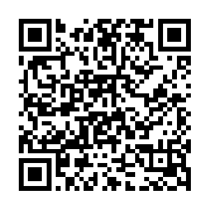 #那#名#倒#地#的#国#内#拳#手#终#究#是#没#能#站#起#来#二维码生成