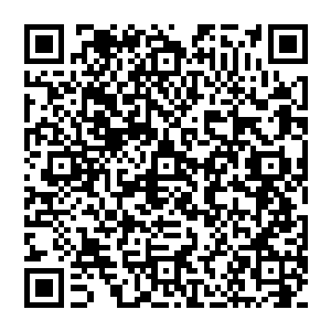 %3c%70%3e$3000$3000$201c$662f$6211$3002$201d$8584$5507$8f7@$542f$4e4@$540e$7684$8@dd$8@a9$82cf$5ae3$77aa$5927$4e86$7738$5@50$3002%3c%2f%70%3e二维码生成
