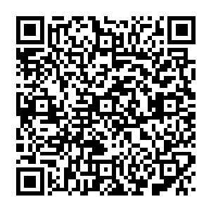 ++++++++++++++++++++++++++++++++++++++++++++++==============================================感谢大家的打赏和送的青团二维码生成