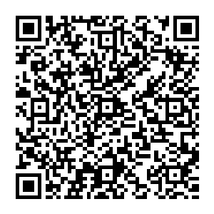 ――――――――――――――――――――我是分割小公主―――――――――――――――――――――――二维码生成