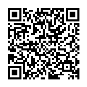 一个人类修士和一个化出本体的金翅大鹏狠狠地向着对方冲撞二维码生成