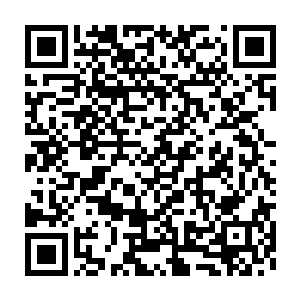 一个从未修行过的小丫头怎么可能从老祖那里偷出来这样珍贵的东西二维码生成