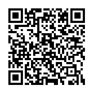 一个冰冷的声音却忽然从他身后不远处传了过来二维码生成