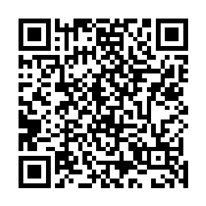 一个同样穿着紫金紫金流云甲的高级军官看着下面的情景二维码生成