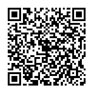 一个普通的成年大汉都未必能够搬得动的……这两个人护卫能够跟在阮美女身边二维码生成