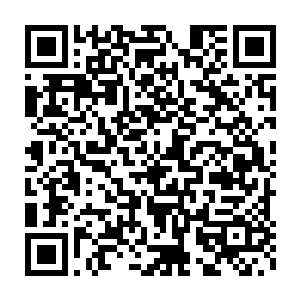 一场准备彻底封死凶兽禁地会议正在凶兽禁地光幕门户之外展开了二维码生成