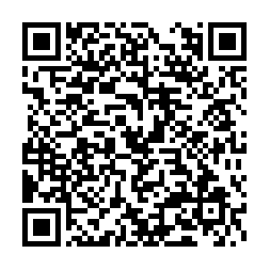 一场将会席卷天下的滔天巨浪看来不久便会将整个洛阳吞噬得一干二净二维码生成