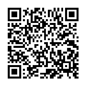 一开始在龙王岛四周观战的人已经退到了几十里外的地方二维码生成