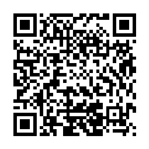 一是因为全程参与会使主人与本命法宝之间的联系更加的紧密二维码生成