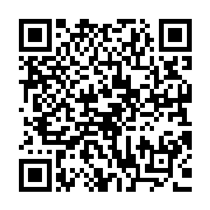 一条深不见底的沟壑从他的面前一直绽放到了前方上千米的地方二维码生成