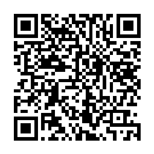 一柄骑士冲刺用的普通长枪在他手上舞出一朵朵的白色弧圈二维码生成