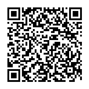 一点儿也没有白令海渔夫那种捞帝王蟹的单打独斗精神直接都是组队二维码生成