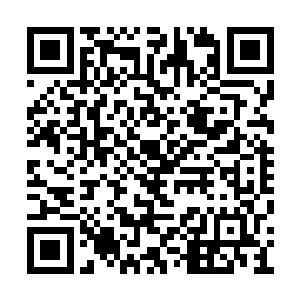 一百天锋币需要他们完成好多次任务才能够获得二维码生成