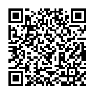 一股恐怖的暴虐的气息瞬间也从杨戬的身上散发出来二维码生成