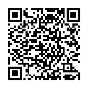 一股恐怖的炽热的气息也直接从鸿蒙鼎的周围散发出来二维码生成