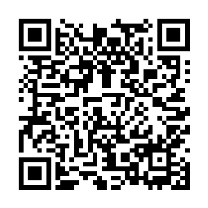 一道道恐怖的龙吟声也是不断的从龙魂的嘴里传出二维码生成