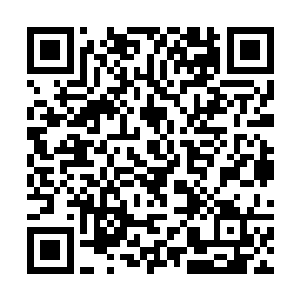 一道道的灵力汇聚而成的触手从虚空之中伸展了出来二维码生成