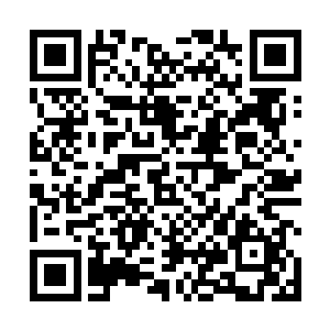 一阵阵无比剧烈的能量波动和轰鸣声也忽然从远处传来二维码生成