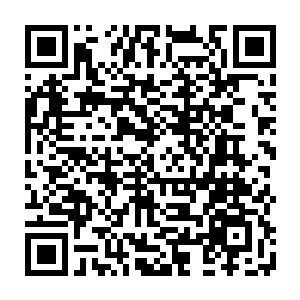 丁二狗第一时间从顾青山那里知道了常委会已经通过了仲华的财政局局长任命二维码生成