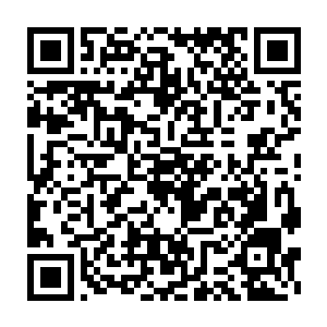 丁宗兄妹还没发现他的时候澄娜就已经笑眯眯的看向他和他打招呼了二维码生成