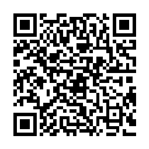 上一次被母皇轻易击败之后他和大古就没有再踏足这片森林半步二维码生成