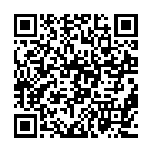 不会又准备打什么幌子让我到你公司参加董事会去吧二维码生成