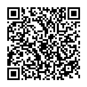 不会因为陆斌死在了戴拉寇特剧场的洗手间里而下令封锁中央公园的二维码生成