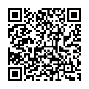 不正是因为他很担心龙兰会对天道这个平民子弟产生什么感情二维码生成