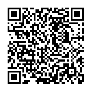 不知道是不是因为受到了这些金属性妖兽体内金系力量和血脉力量的影响二维码生成