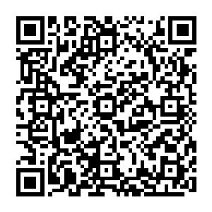 不过从它的触手的粗细和上面吸盘的大小来看――那吸盘一个至少有一米左右的直径二维码生成