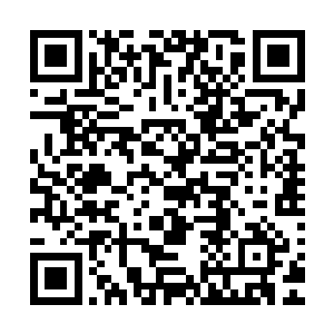 不过他们却没有注意到在那青年修士淡淡地笑意中隐藏着杀机二维码生成