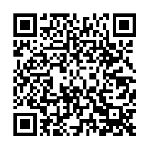 不过病房内的这些公子少爷的还真没把一名少将放在眼里二维码生成