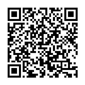 不过还要承蒙姚掌门能够在我落剑仙宗落入此境时援手一把二维码生成