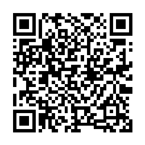 与此同时姬瑶仙原本强横霸道遮天蔽日的恐怖气势开始收敛二维码生成