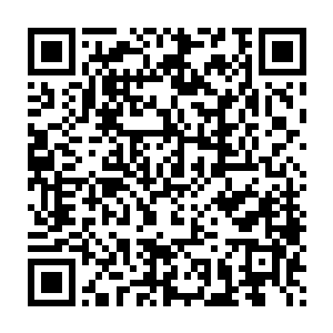 东帝太一会不知道还未完全觉醒的二代兽神是一笔多么巨大的力量么二维码生成