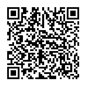 东黎云不知道原来自己的太子妃居然在学生的心目中是这样的形象二维码生成