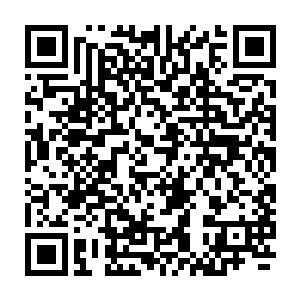 为何要踩着我给他项百亭增光添彩来证明他项百亭才是玲珑宗最优秀的弟子二维码生成