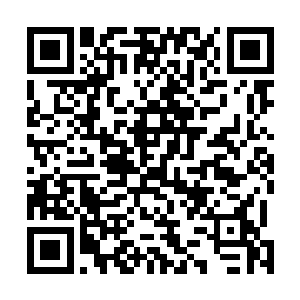 为在场的十大兵团战士们演唱了几首红遍整个联邦的歌曲二维码生成