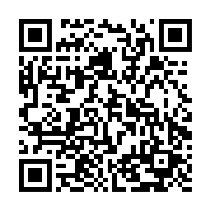 之前吴老爷子大概也是看周老爷子不想再管周怀礼的亲事二维码生成