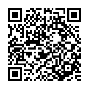 之前神龟战舰就能够用这样的子母尖刺轰破血海战舰的青金缠玉二维码生成