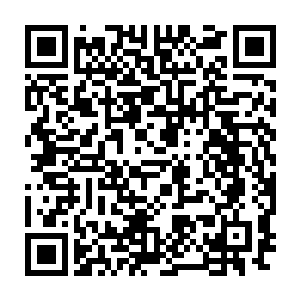 也是仔细打量着这一个训练场难道这里就是曾经上边那个人训练的地方二维码生成