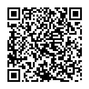 事实上在星政府大楼内部本身便有身着机甲的华夏战士负责日常防卫跟警戒二维码生成