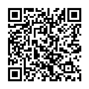 二来他也很想知道陈诚对于刚才的这一波小龙团是什么想法二维码生成